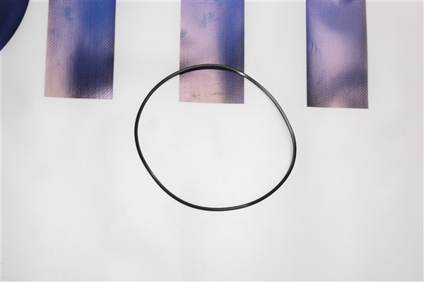 SEAL RING 0501322860 - Z.bm0501322860