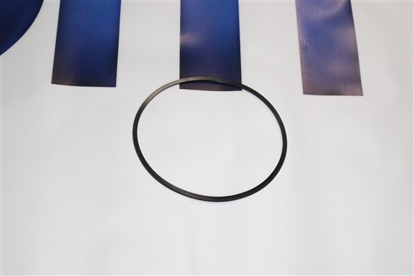 SEAL RING 0501322864 - Z.bm0501322864