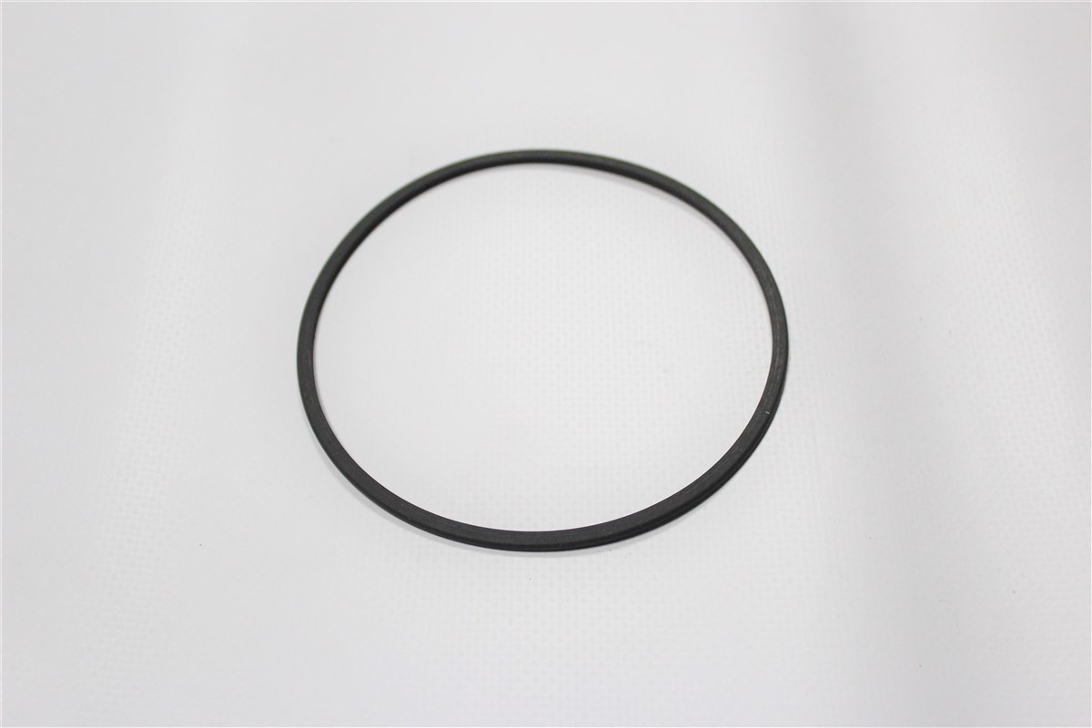 SEAL RING - Z.bm0501324121
