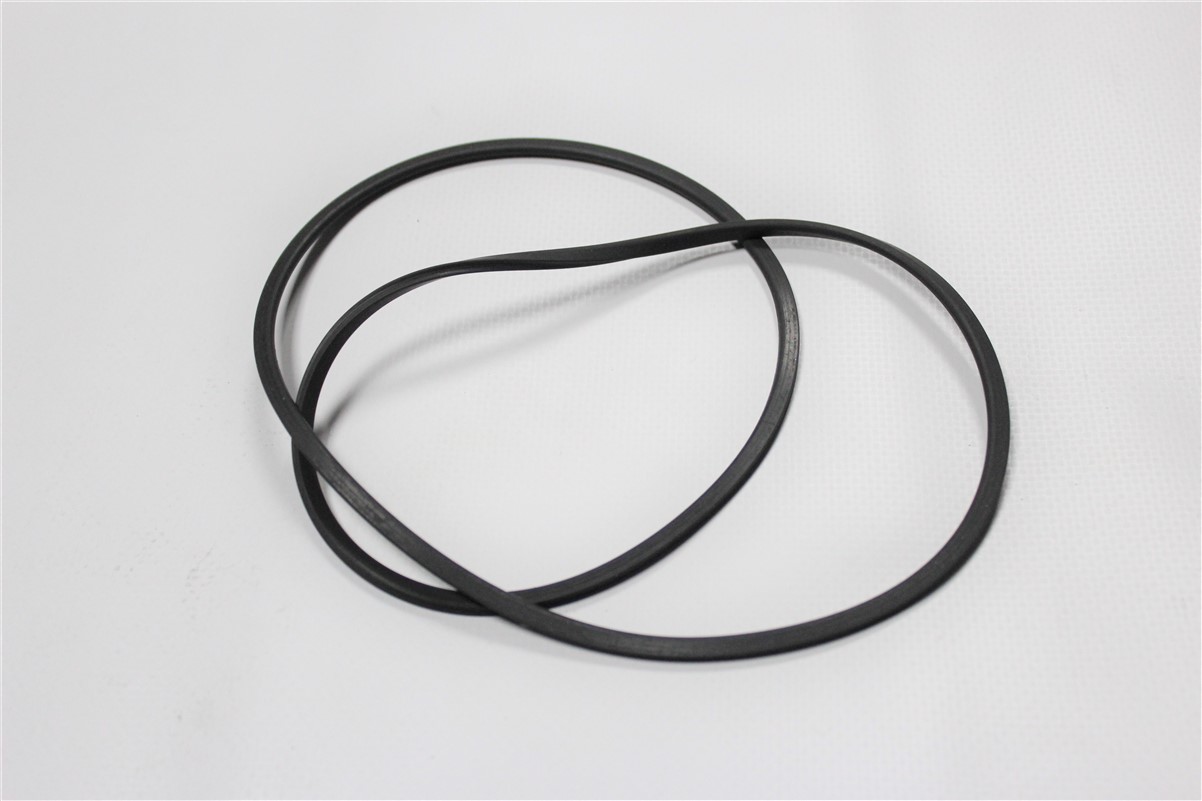 SEAL RING 0501324125 - Z.bm0501324125
