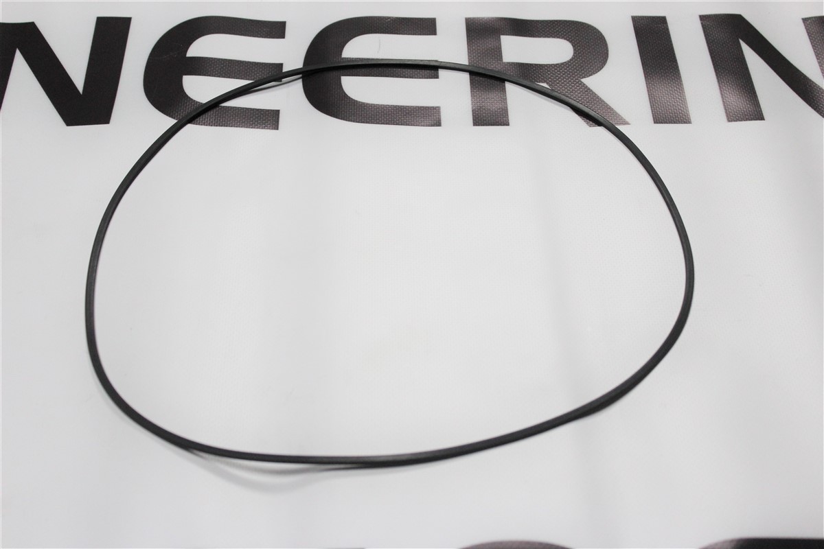 SEAL RING 0501325799 - Z.bm0501325799